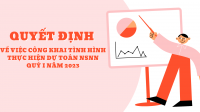 Quyết định công khai tình hình thực hiện dự toán NSNN Qúy I năm 2023