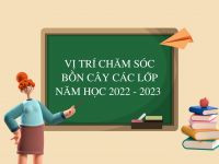 Vị trí chăm sóc bồn cây các lớp năm học 2022 - 2023